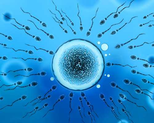 香港验血孕妇男女吗,得了卵巢早衰做试管成功率高吗,如何提高试管成功率