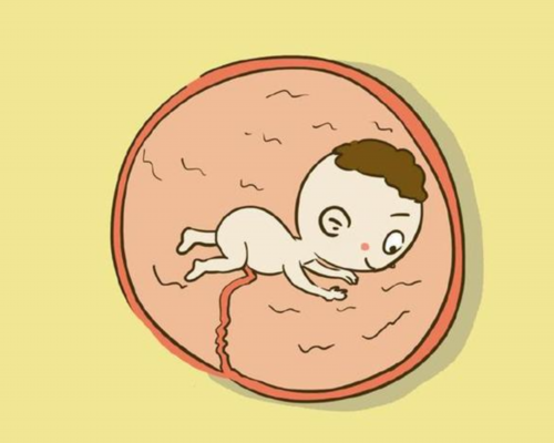 香港验血查男女验了两次结果不同,女子试管怀上龙凤胎，孩子出生三天夭折，