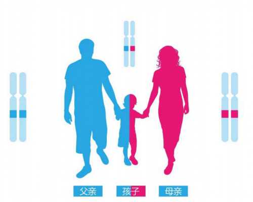 香港验血机构网站,输卵管堵塞想早点怀孕要小孩，想了解下这种情况还能备孕