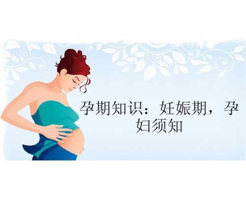 六周香港验血B超单,做福州助孕试管婴儿子宫内膜是不是越厚就越利于胚胎的着