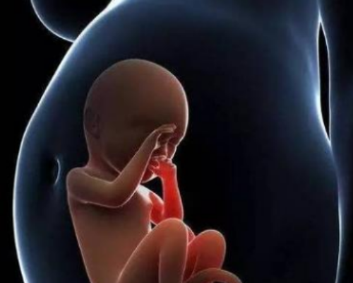 怀孕5周去香港验血可以查出男女吗,“试管宝宝”和自然怀孕宝宝有何差别，智
