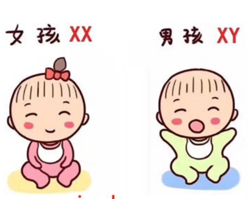 香港验血主要机构,北京哪里的医院做试管婴儿效果好