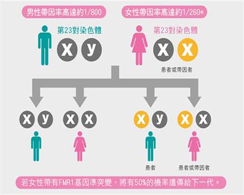 怀孕到香港验血可以吃叶酸吗,月经期间会排卵怀孕吗