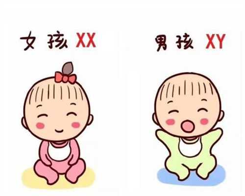 香港验血电话查询真伪,女生不孕不育的前兆是不是不来月经? 做试管婴儿就上南