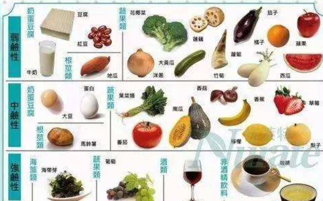 香港验血多少周可以验出来,备孕前多久吃碱性食物