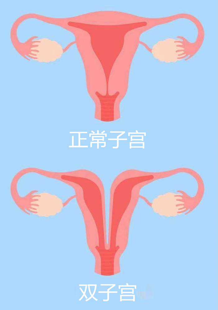 香港仁安医院验血男女,宫寒女性应该如何进行试管备孕?