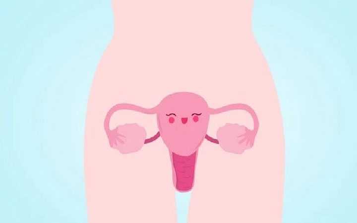 邮寄香港验血怎么去,试管婴儿微刺激促排卵方案适用于多囊卵巢患者吗？