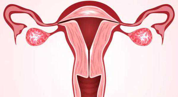 香港几个月验血查男女准吗,子宫环境对于试管胚胎着床率的影响有多大？