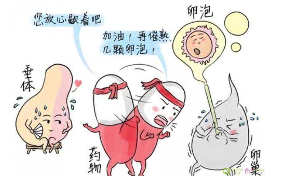 香港验血六周技术什么时候有的,试管促排卵可吃燕窝吗