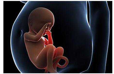 宫外孕会影响香港验血结果吗,美国试管婴儿如何测试女性生育能力