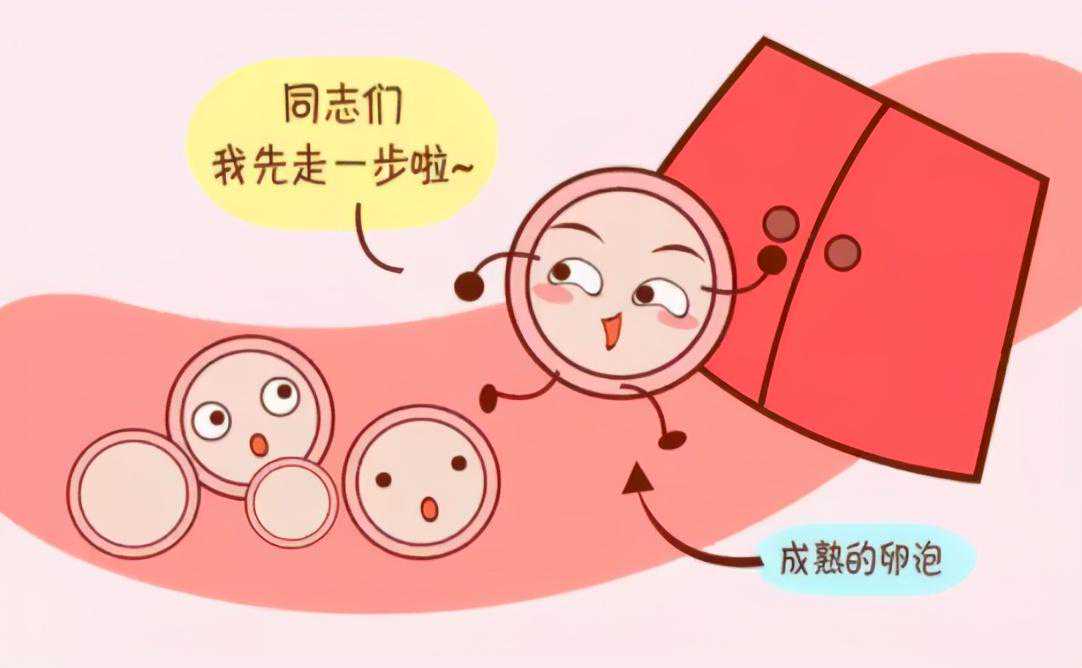 香港验血验男女需要抽几毫升血,试管婴儿的孕育全过程
