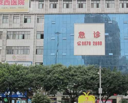 探索助孕之路：国内辅助生殖机构的价位与流程解析