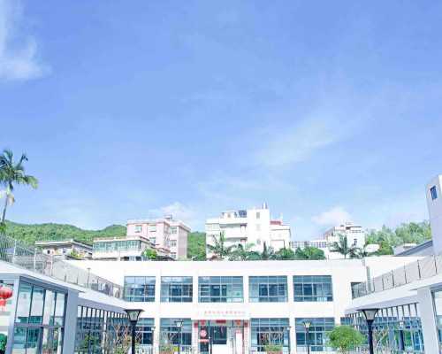 杭州三代试管助孕：专业机构与成功率的全面指南